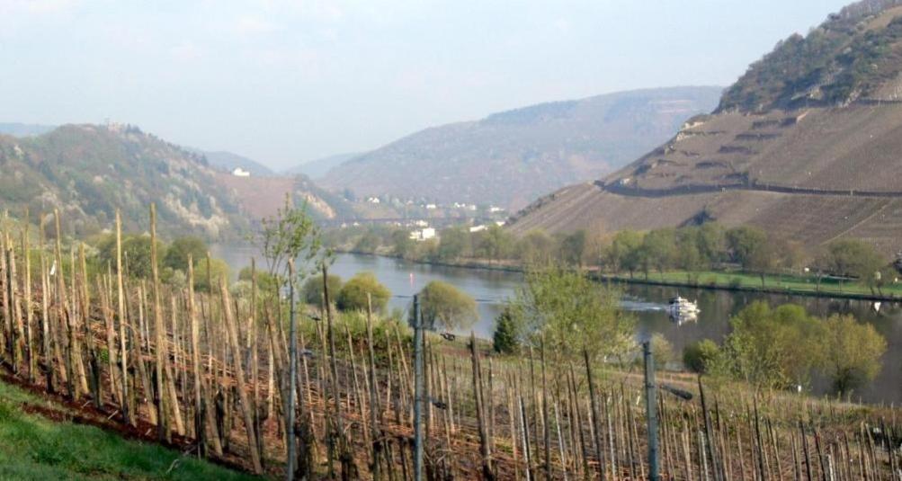 Panorama-Cafe Moselgarten Alf Dış mekan fotoğraf