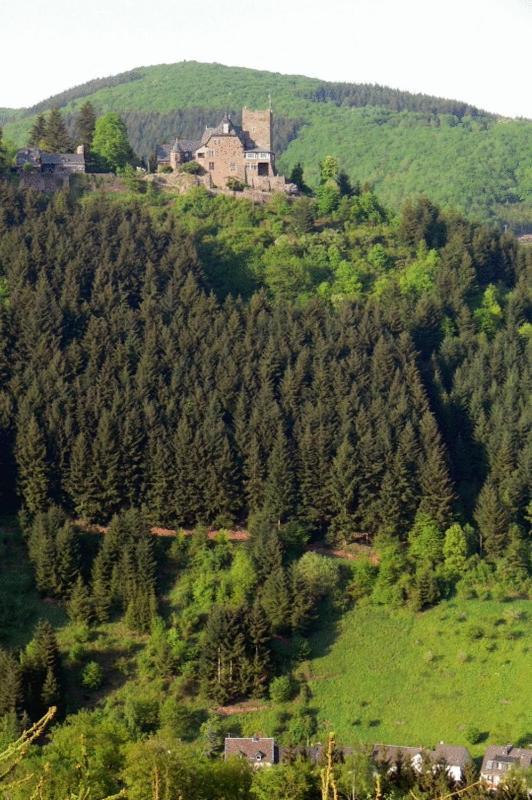 Panorama-Cafe Moselgarten Alf Dış mekan fotoğraf