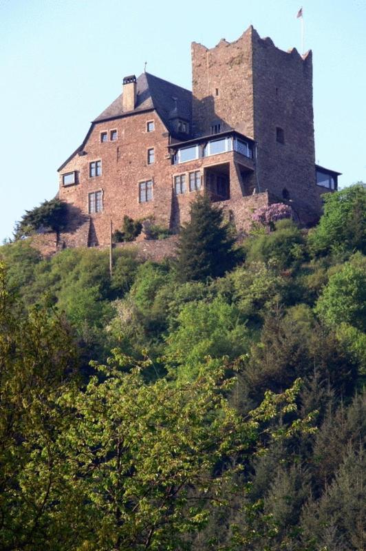 Panorama-Cafe Moselgarten Alf Dış mekan fotoğraf
